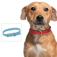 thumbnail image 4 of Collar de cuero para perros, collares ajustables para cachorros, collares para perros pequeños, collar multicolor para mascotas, 4 of 5