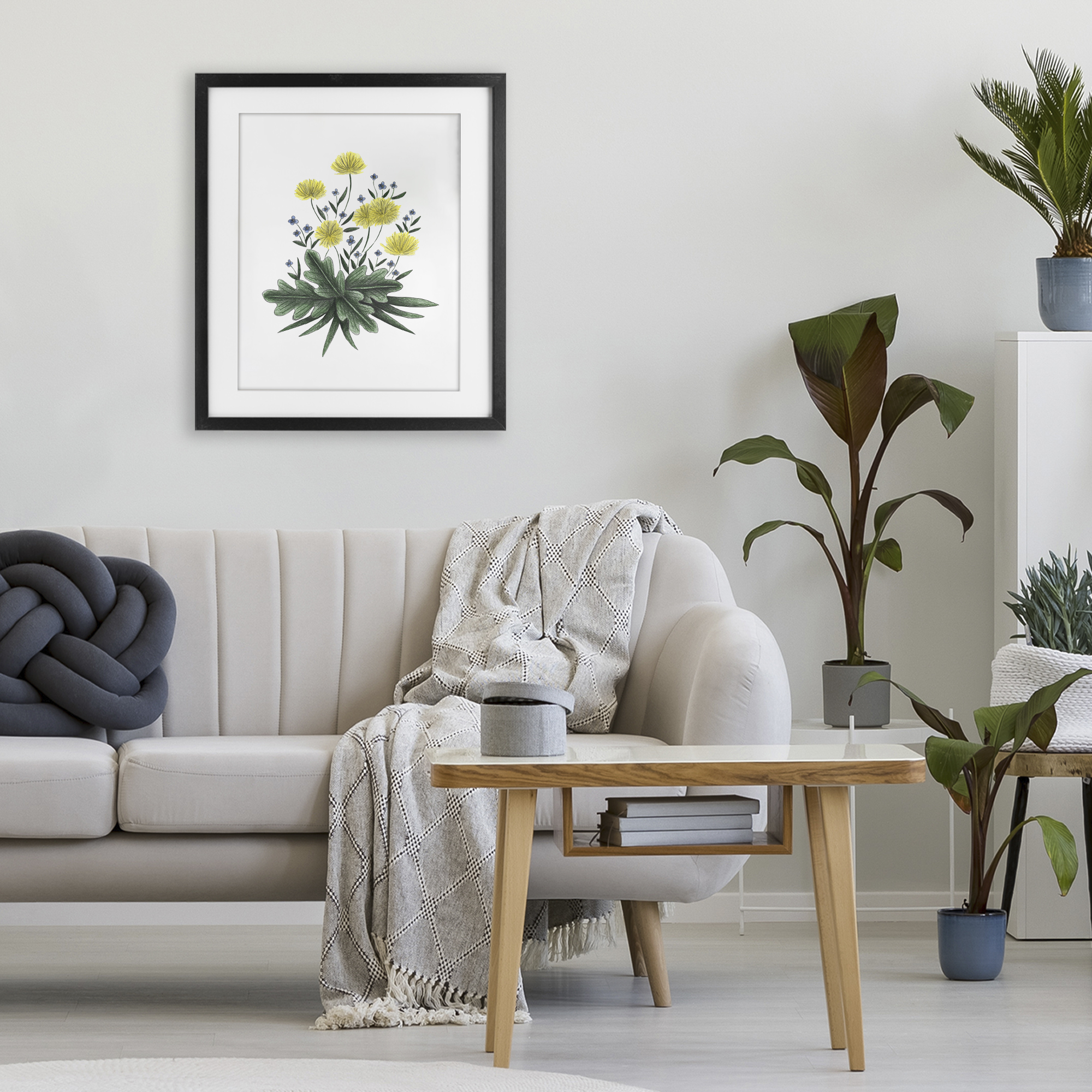 Dandelion Flower Illustration Black Framed Print Under Glass, design by Cecilia Battaini