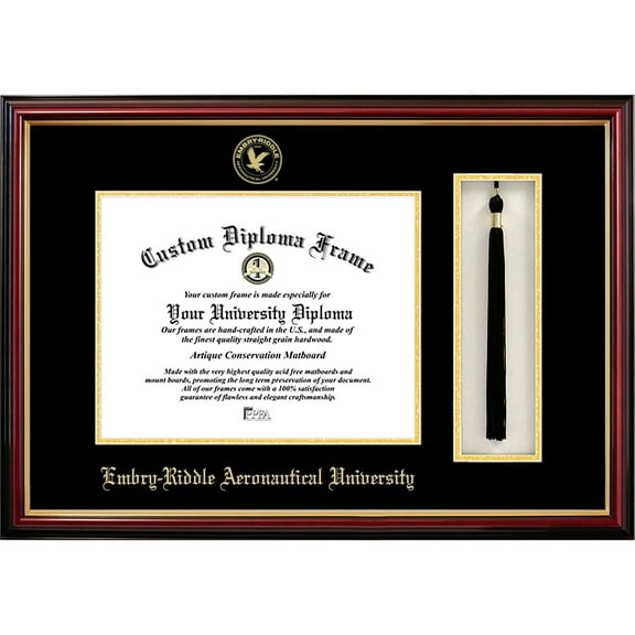 University Frames Embry-Riddle University 11w x 8.5h Tassel Box and Diploma Frame