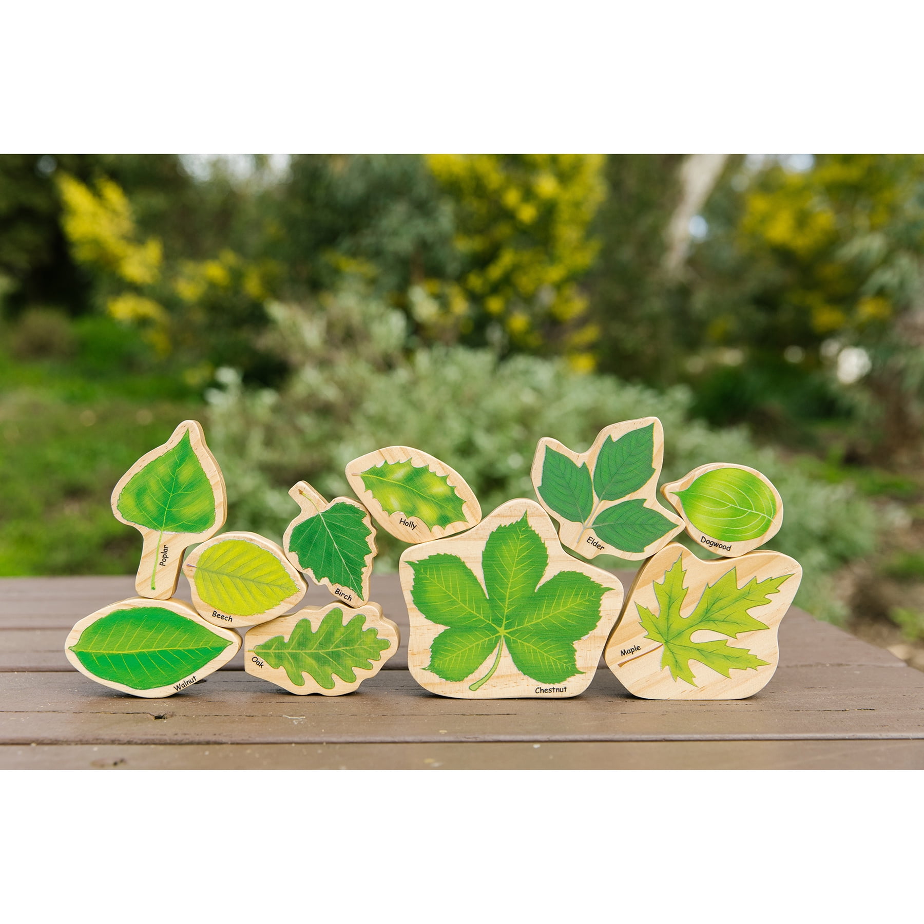 The Freckled Frog Stacking Leaves
