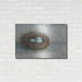thumbnail image 3 of Luxe Metal Art 'Rustic Bird Nest I' by Ethan Harper Metal Wall Art, 36"x24", 3 of 9