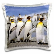 3dRose King Penguin colony, St Andrews Bay, South Georgia - AN01 MZW0004 - Martin Zwick, Pillow Case, 16 by 16-inch