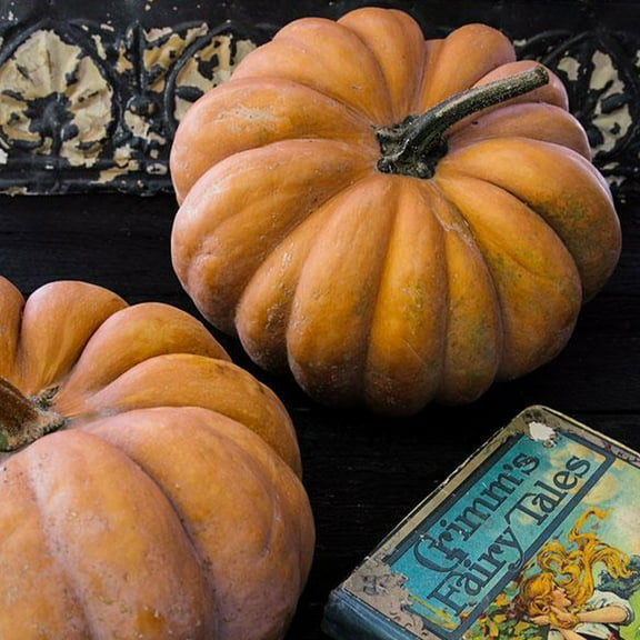 Fairytale Pumpkin Seeds - 4 g ~20 Seeds - Non-GMO, Open Pollinated, Heirloom, Vegetable Gardening Seeds