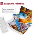 thumbnail image 4 of Cartucho de tinta Skyink 243XL negro compatible, paquete de 2, 4 of 6