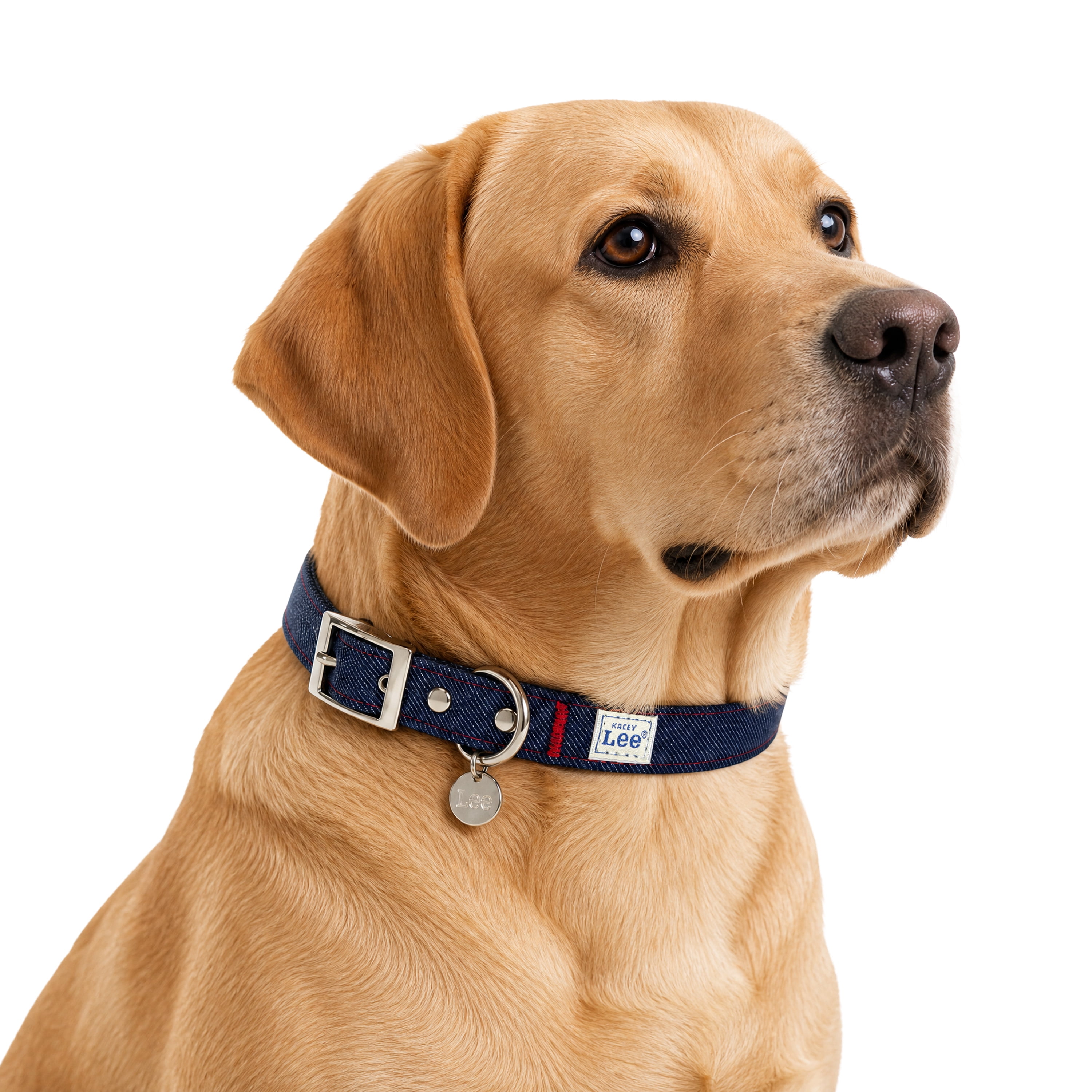 Kacey Lee® Denim Fashion Dog Collar, Blue, Large