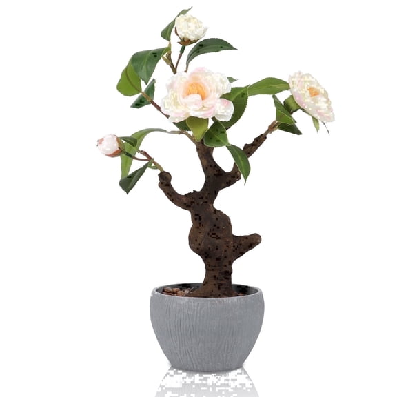 Small Artificial Camellia Bonsai Tree Decor 15" Tall Faux Blooming Camellia Floral Tree Potted Plant Desk Display with Bonsai Pot