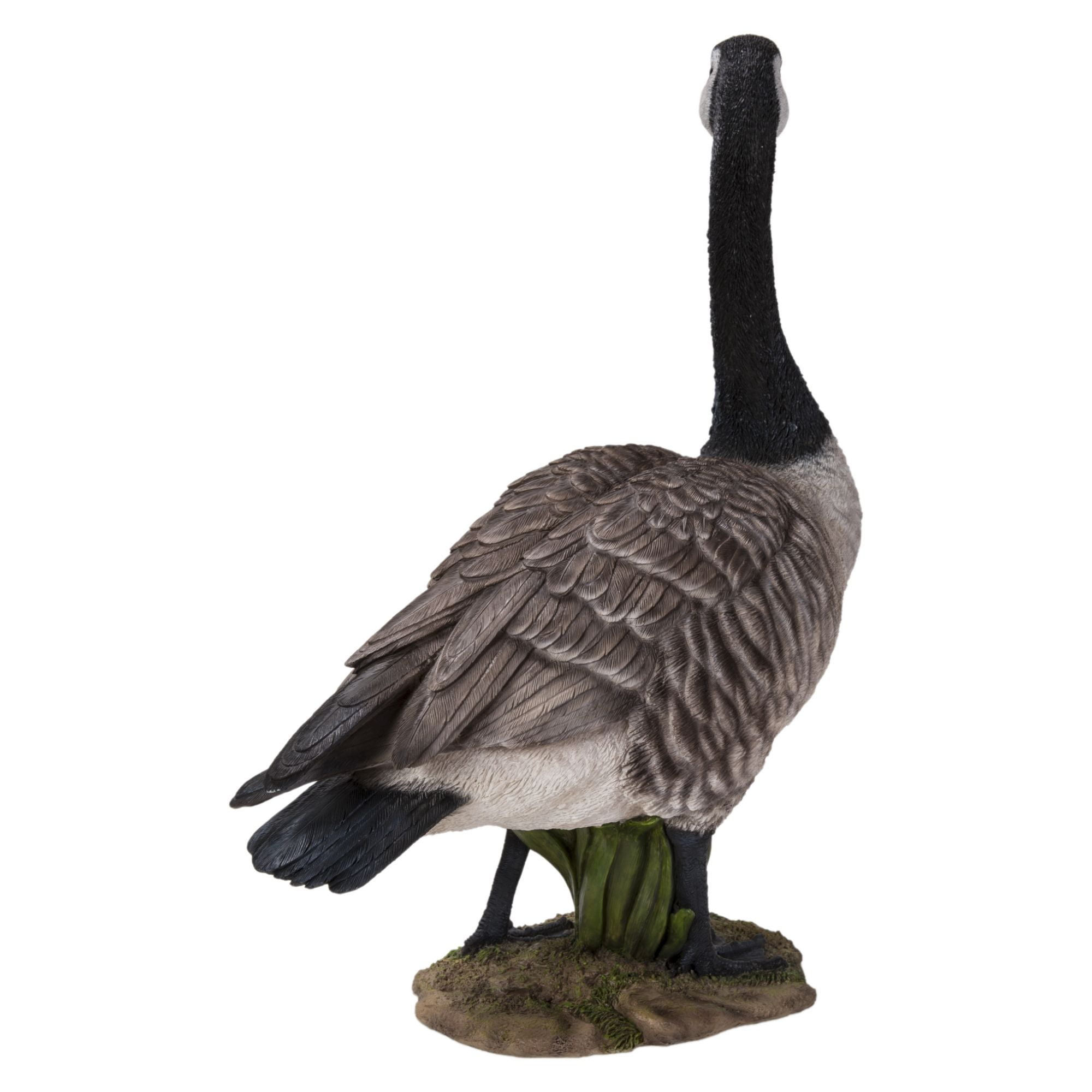 Canada goose valladolid 2019 sales
