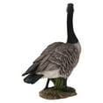 thumbnail image 3 of Hi-Line Gifts 19.75" Standing Canada Goose Outdoor Garden Statue, 3 of 4