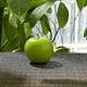 thumbnail image 4 of m 11 Uds. De frutas artificiales, fruta falsa realista, simulación realista decorativa, 4 of 5