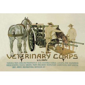 The Veterinary Corps. U.S. Army Museum quality giclee print canvas wrap(20" x 30")