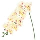 thumbnail image 1 of Uxcell 1-Pack Flores de Orquídea Artificial 9 Pétalos Grandes 37 Pulgadas Ramo de Phalaenopsis de Seda Manchado Amarillo Verde Falsas Orquídeas para Hogar/Boda, 1 of 1