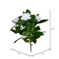 thumbnail image 2 of Vickerman 14.5" Artificial White Polyester Gardenia Flower Bush X 3, 2 of 2
