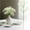 White, variant on 1PC Artificial Gypsophila Sprigs, Realistic Faux Stems for DIY Floral Arrangements, Wedding Bouquets, Vase Decor & Home Table Centerpieces
