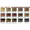 thumbnail image 2 of Clairol Beautiful Collection Semi-Permanent Color B20D Black, 2 of 2