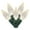 Warm White, variant on Vickerman 100 Warm White C6 LED Single Mold Light on Green Wire, 34' Christmas Light Strand