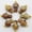 Mexican Crazy, variant on 100pcs Natural Stone Quartz Crystal Mushroom Pendant or Jewelry Making Wholesale-Quartz crystal