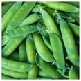 thumbnail image 3 of Everwilde Farms 100 Super Sugar Snap Pea Plant Seeds, 3 of 5