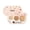 B, variant on SDOHIG Tri Color Concealer Pot for Cover The Face With Dark Circles, Spots, Acne, Freckles, Lightweight & Long-Lasting Coverage, Blendable Formula for All Skin Tones, Non-Clogging & Smudge-Proof