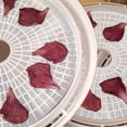 thumbnail image 2 of PinesC Multi-Usage Drying Tray Silicone Dehydrator Sheets, Non-Stick Food Grade Non-BPA, Reusable Steamer Mesh, Perfect For Drying Fruits & Vegetables, Compact Storage Rollable,, 2 of 5