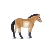 Safari Ltd. Przewalski's Horse Figurine - Lifelike 5 Horse Figure - Educational Toy for Boys, Girls, and Kids Ages 3+
