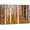 BS14-NATURE-HOL09, variant on wall26 Canvas Print Wall Art Paint Stroke Birch Trees with Brown Leaves Nature Wilderness Illustrations Modern Art Rustic Scenic Colorful Multicolor for Living Room, Bedroom, Office - 12"x18&quo