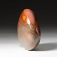 thumbnail image 2 of Polished Polychrome Jasper Palm Crystal From Brazil (141.4 grams), 2 of 4