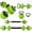 Green, variant on Adjustable Dumbbell Set, 45Lbs Free Weight Set with Connector, 3 in 1 Gym Dumbbell Set, Push Up Stand, Weight Plate, Home Gym Weight Dumbbells Set, Fitness Exercises