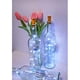 thumbnail image 3 of Guirnalda de luces de corcho para botellas de vino, niniTe LIGHTS, 20 LED, 3 of 6
