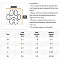 thumbnail image 3 of Breathable Dog Mesh Shoes for Small Dogs - Outdoor Non-slip & Wear-resistant Paw Protection, 3 of 9