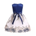 thumbnail image 5 of Little Girl Dresses Size 8 Years-9 Years Spring And Summer Mesh Dress Dress Sleeveless Vest Dresses Dress Girls Clothing, 5 of 8
