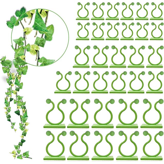 Paquete de 100 soportes para plantas trepadoras ZHCH montados en la pared 3 tamaños