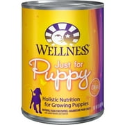 Angle View: Wellness Pet Products Puppy Food - Case of 12 - 12.5 oz.
