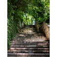thumbnail image 4 of ABPHOTO Polyester 5x7ft Stone Staircase Photography Background Green Tree Backdrop Landscape Photo Studio Background Props Wall, 4 of 5
