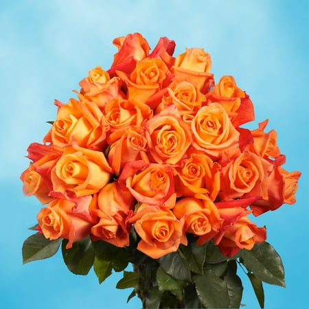 GlobalRose 50 Orange Long Stem Roses- Fresh Flowers Express Delivery