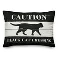 thumbnail image 2 of Creative Products Black Cat Crossing 20 x 14 Spun Poly Pillow, 2 of 3
