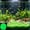 79#Green, variant on Light in The Dark Luminous Aquarium Sand Gravel, Glow Fish Tank Substrate Decorative Stones, Nocturnal Brightening Bottom Substrate for Betta Shrimp Tank Aquascaping 2000 Grains