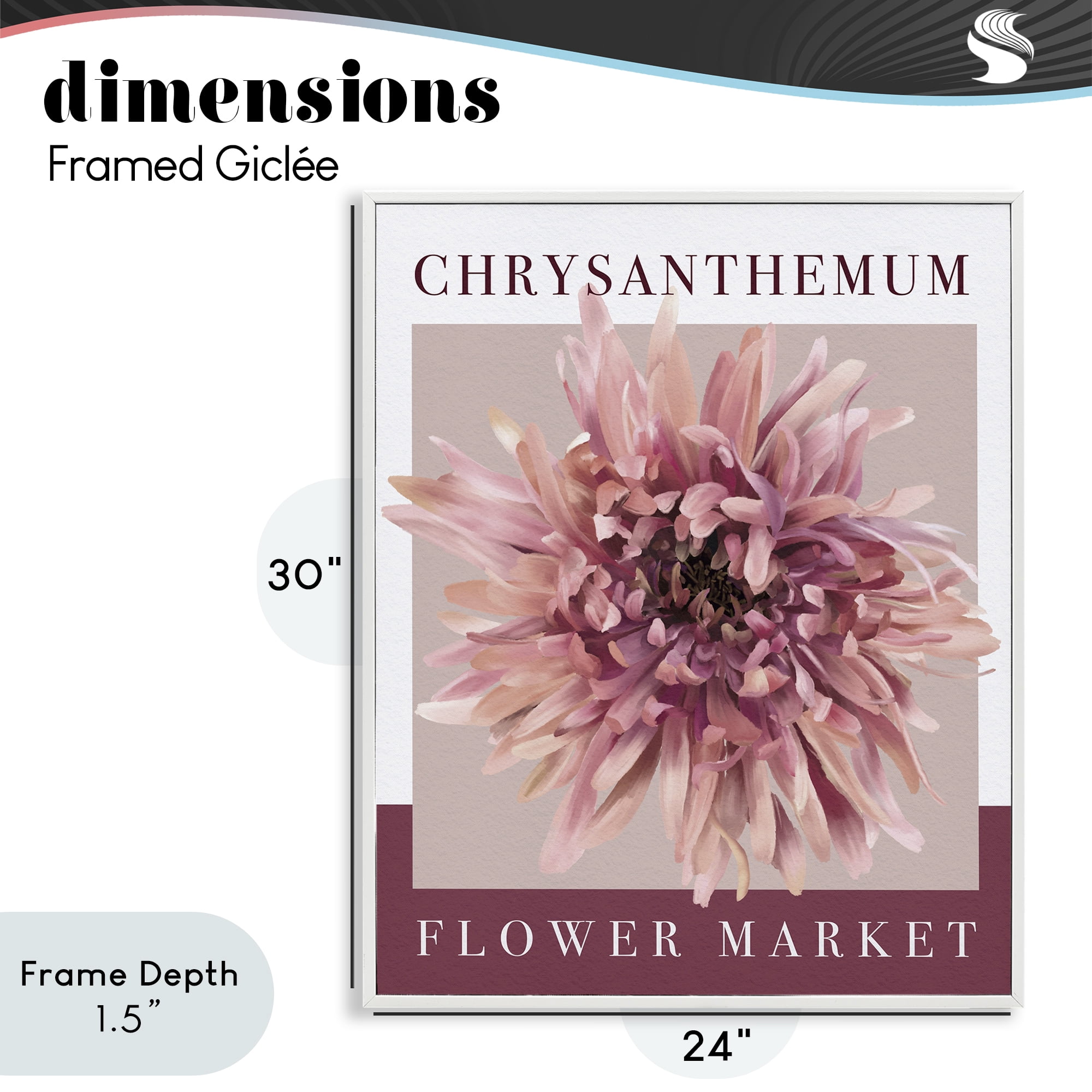 Stupell Industries Chrysanthemum Flower Market White Framed Giclee Art, design by Jennifer Stith
