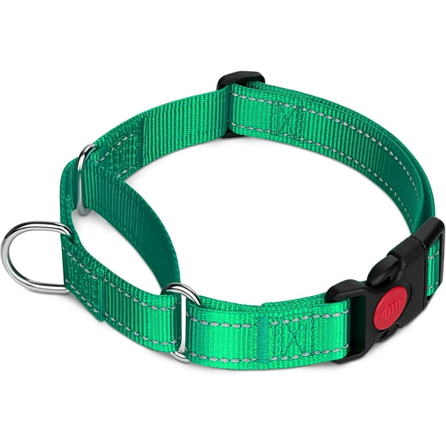 HAHDAXIA Collier Martingale pour Chiens, Collier pour Chien Réfléchissant Robuste pour la Sécurité, Boucle à Dégagement Rapide, Colliers en Nylon Ajustables pour Chiens Moyens pour la Marche et l'Entraînement, Vert, m