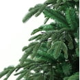 thumbnail image 4 of Le Grand Sapin de Noël Fraser Fir (7 Pi Non Éclairé), 4 of 4