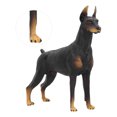 thumbnail image 4 of Modelo de animal de simulación BuyWeekMX Doberman negro Juguete modelo Estatua de perro, 4 of 9