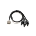 thumbnail image 3 of Warm Audio PREM-DB25-XLRF-20 Premier 20’ DB25 To Female XLR Cable, 3 of 3