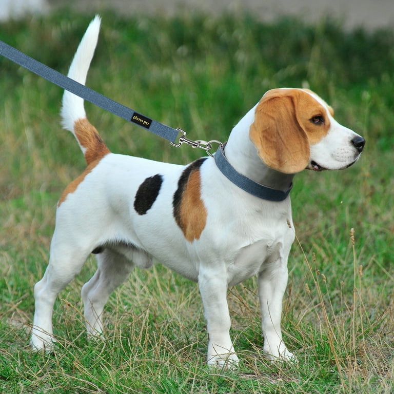 Plutus Pet Cotton Hemp Collar and Leash Set, Adjustable photo 7