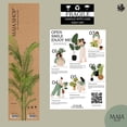 thumbnail image 4 of Open Box Maia Shop 6ft Artificial Palm Tree, Fake Plants for Home Decor, 4 of 9