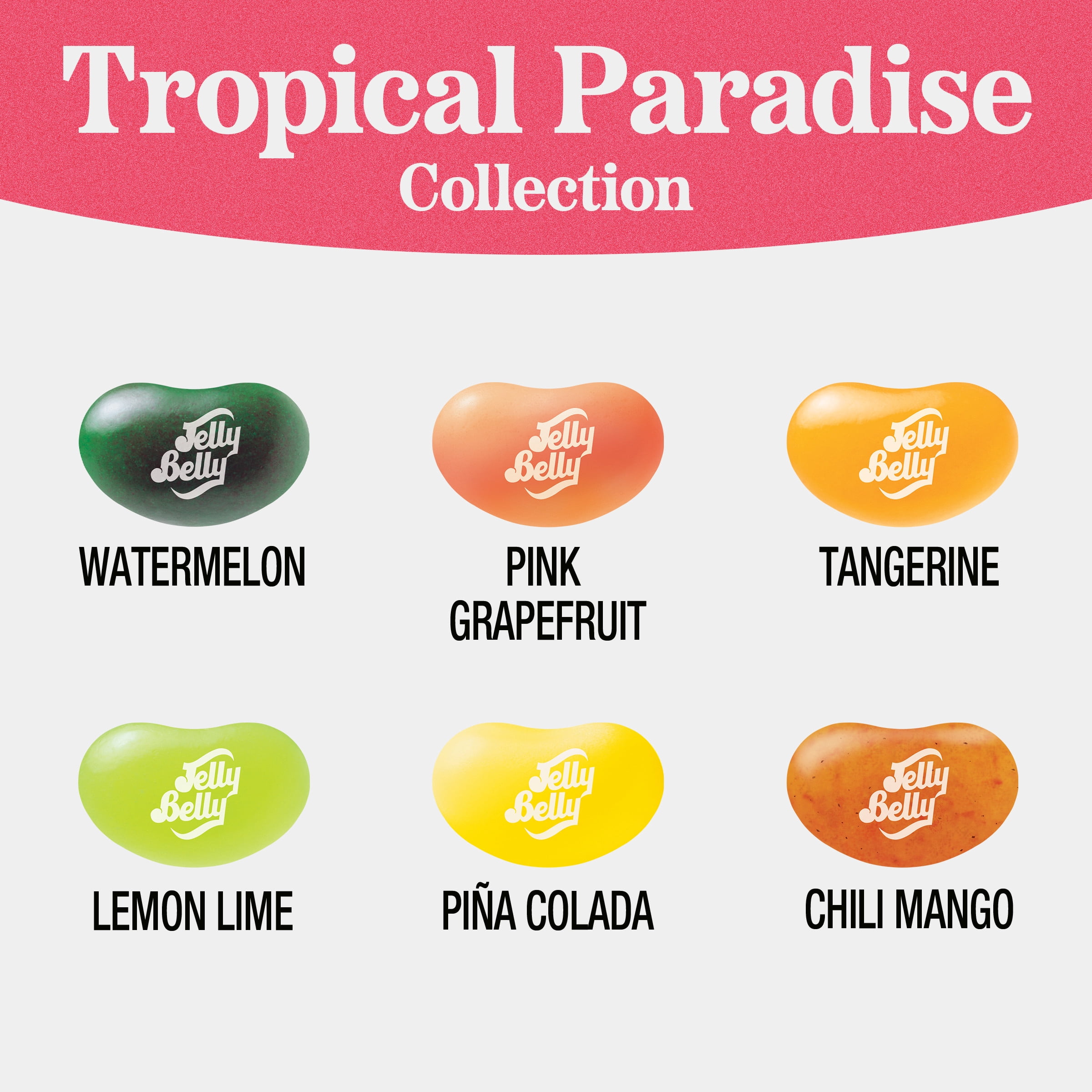 Jelly Belly Tropical Paradise Jelly Bean Collection - 8 oz Pouch Bag, 10-Count Case - Genuine, Official, Straight from the Source
