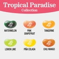 thumbnail image 3 of Jelly Belly Tropical Paradise Jelly Bean Collection - 6 oz Peg Bag - Genuine, Official, Straight from the Source, 3 of 8