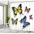 thumbnail image 4 of Ambesonne Butterfly Shower Curtain, Nature Moths Wings, 69"Wx70"L, Multicolor, 4 of 4