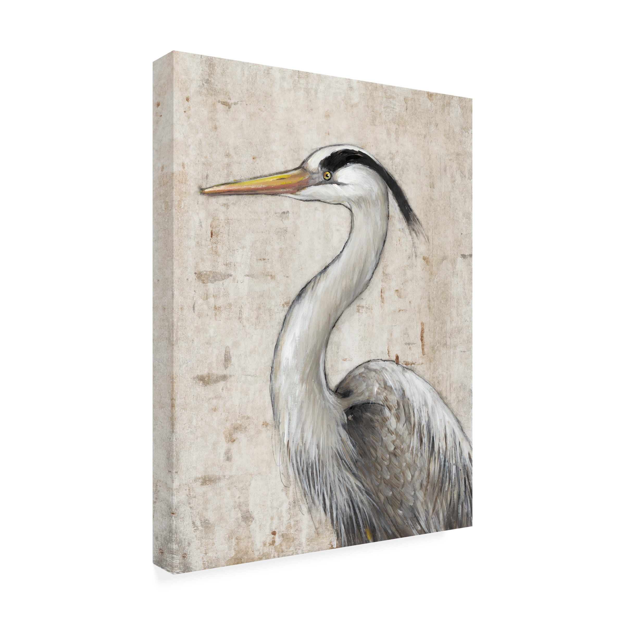 Tim O'Toole 'Grey Heron II' Canvas Art