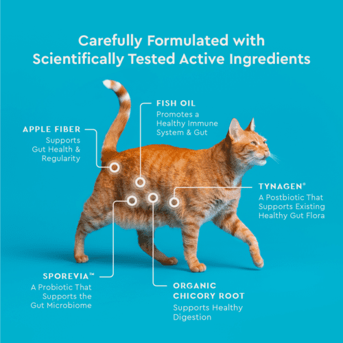Vet IQ Probiotic Health Supplement for Cats, Chicken Flavored Crunchy Chews, Approx. 30 Day Supply