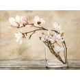 thumbnail image 2 of Mavaracchio, Cristina 24x19 Gold Ornate Wood Framed with Double Matting Museum Art Print Titled - Fiori di magnolia, 2 of 4