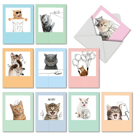 M6583OCB FELINE GRAFFITI' 10 Assorted All Occasions Note Cards Featuring Adorable Kitty Images Combined with Line Drawings to Create Fun and Funky Portraits, with Envelopes by The Best Card